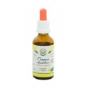 Common Dandelion Tincture, 50ml / dietary supplement