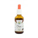 Chaga Tincture, 50ml / dietary supplement