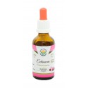 Tintura di Echinacea, 50ml / integratore alimentare