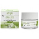 Anti-Age Night Cream with Green Tea, 50ml