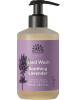 Soothing Lavender Hand Soap