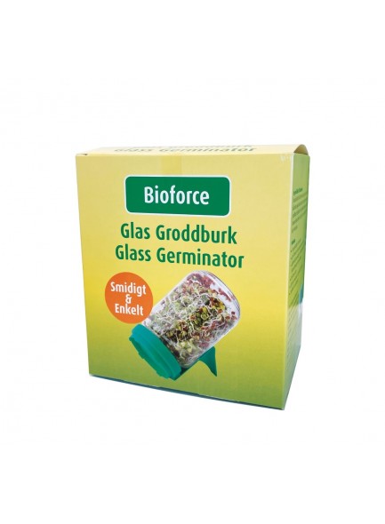 Glass germinator