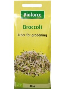 Broccoli Seeds for Sprouting