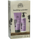 Gift Set "Soothing Lavender"