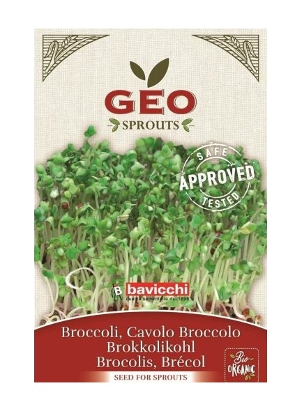 Brokoli seemned idandamiseks
