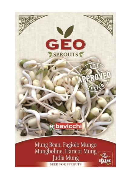 Mung Bean for Sprouts