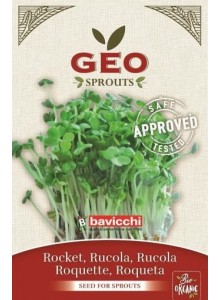 Rocket Seeds for Sprouts
