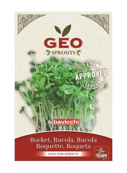 Rocket Seeds for Sprouts