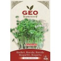 Semi di rucola per germogliare, 30g