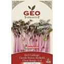 Semi di cavolo rosso per germogliare, 12g