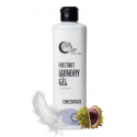 Chestnut Laundry Gel Concentrate