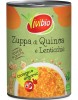 Zuppa di quinoa e lenticchie