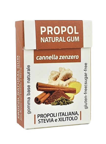 Chewing-gum Xylitol Cannelle
