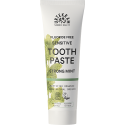 Toothpaste Strong Mint, 75ml