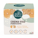 Crema viso purificante con Succo di Arancia e Zenzero, 50ml