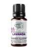 Lavender Essential Oil