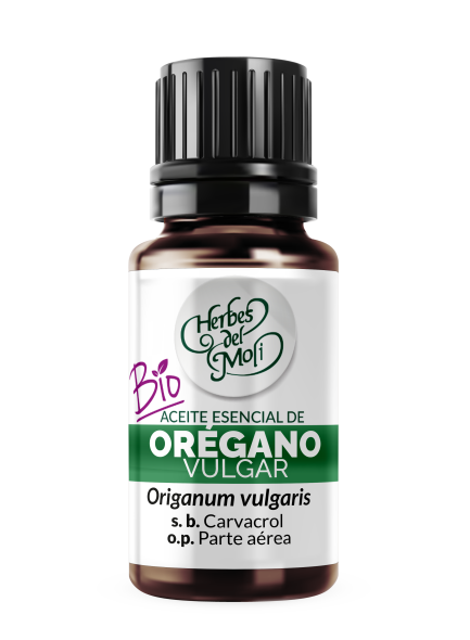 Olio essenziale di origano