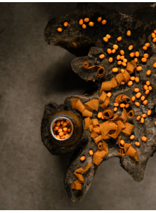 Berry Bites, Sea Buckthorn, 44g