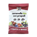 Candies with Propolis & Berries, 70g