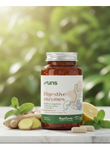 Digestive Enzymes – Gut Comfort Support | Bio4you