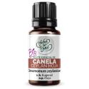 Ceylon Cinnamon Leaf Essential Oil, 10ml
