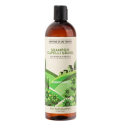 Shampoo for Oily Hair with White Grape & Nettle, 500ml