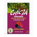 Chewing Gum, Berry Mix, 30g