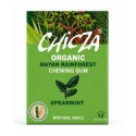 Chewing Gum, Spearmint, 30g