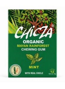 Chewing Gum, Mint, 30g