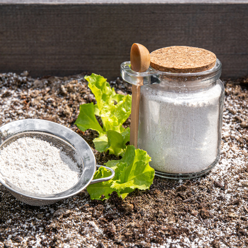 Ränivetika pulber illustreeriv