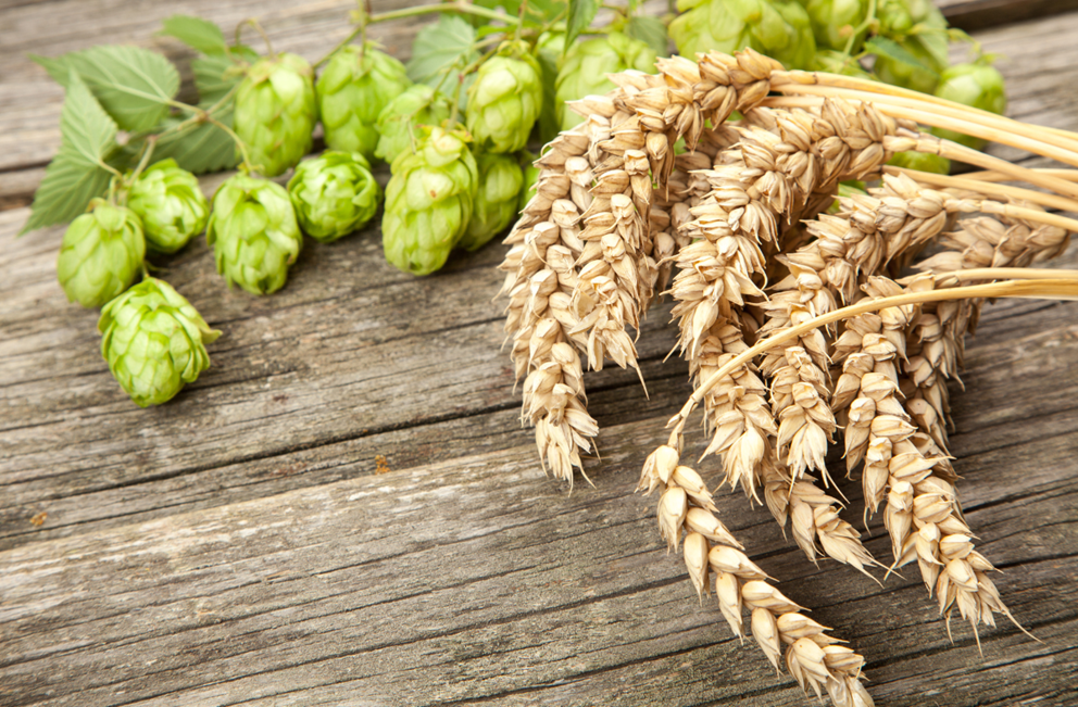 Humal looduslikul taustal