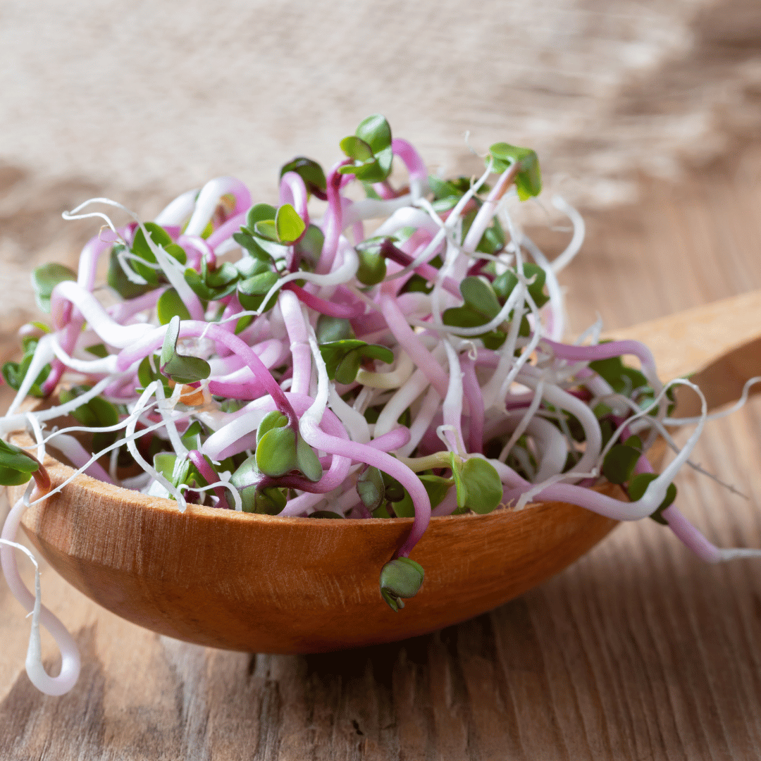 Taimse valgu allikas 2