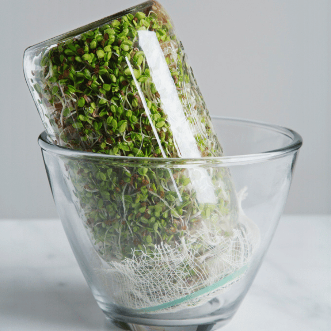 Purgimeetodi idandamine