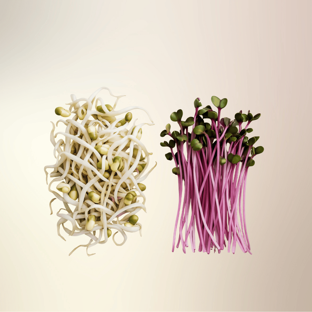 Taimse valgu allikas 1